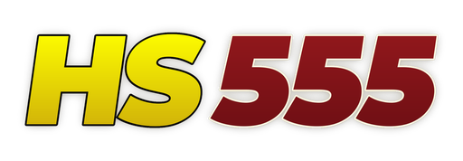 hs555game.net Logo